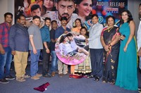 Manasainodu Movie Audio Launch